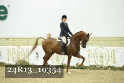 24R13_19354 thumbnail