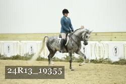 24R13_19355 thumbnail