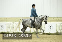 24R13_19356 thumbnail