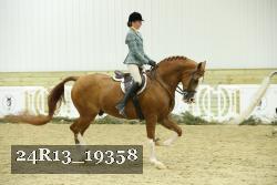 24R13_19358 thumbnail