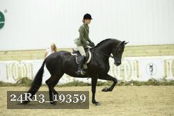 24R13_19359 thumbnail