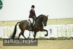 24R13_19360 thumbnail