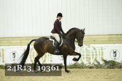 24R13_19361 thumbnail