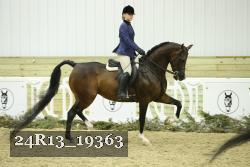24R13_19363 thumbnail