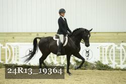 24R13_19364 thumbnail