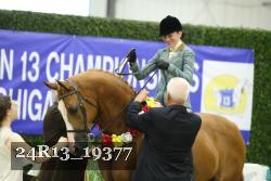 24R13_19377 thumbnail