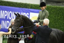 24R13_19384 thumbnail
