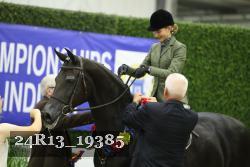 24R13_19385 thumbnail