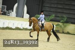 24R13_19392 thumbnail