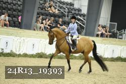 24R13_19393 thumbnail