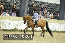 24R13_19394 thumbnail