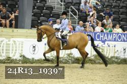 24R13_19397 thumbnail