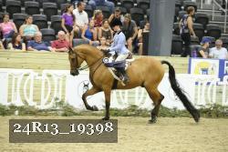 24R13_19398 thumbnail