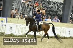 24R13_19401 thumbnail