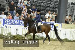 24R13_19402 thumbnail