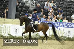 24R13_19403 thumbnail