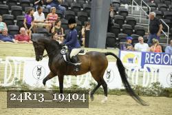 24R13_19404 thumbnail