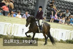 24R13_19405 thumbnail
