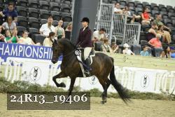 24R13_19406 thumbnail