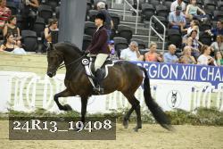 24R13_19408 thumbnail