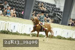 24R13_19409 thumbnail