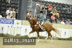 24R13_19411 thumbnail