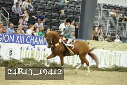 24R13_19412 thumbnail