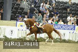 24R13_19414 thumbnail