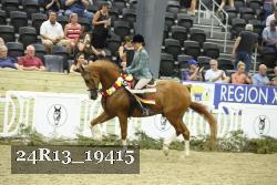 24R13_19415 thumbnail