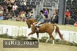 24R13_19417 thumbnail