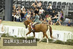 24R13_19418 thumbnail