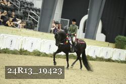 24R13_19423 thumbnail