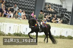 24R13_19424 thumbnail