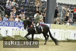 24R13_19429 thumbnail