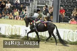 24R13_19434 thumbnail