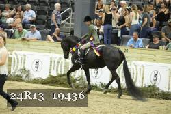 24R13_19436 thumbnail
