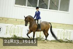 24R13_19445 thumbnail