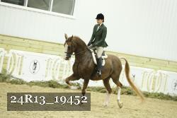 24R13_19452 thumbnail
