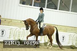 24R13_19456 thumbnail