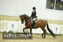 24R13_19458 thumbnail