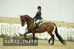 24R13_19459 thumbnail