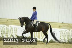 24R13_19462 thumbnail