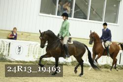 24R13_19463 thumbnail
