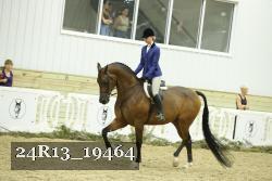 24R13_19464 thumbnail