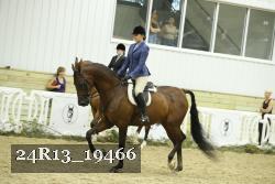 24R13_19466 thumbnail