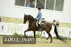 24R13_19467 thumbnail