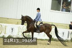 24R13_19468 thumbnail