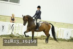 24R13_19469 thumbnail
