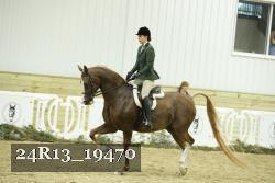 24R13_19470 thumbnail