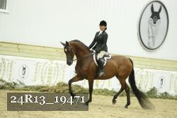 24R13_19471 thumbnail
